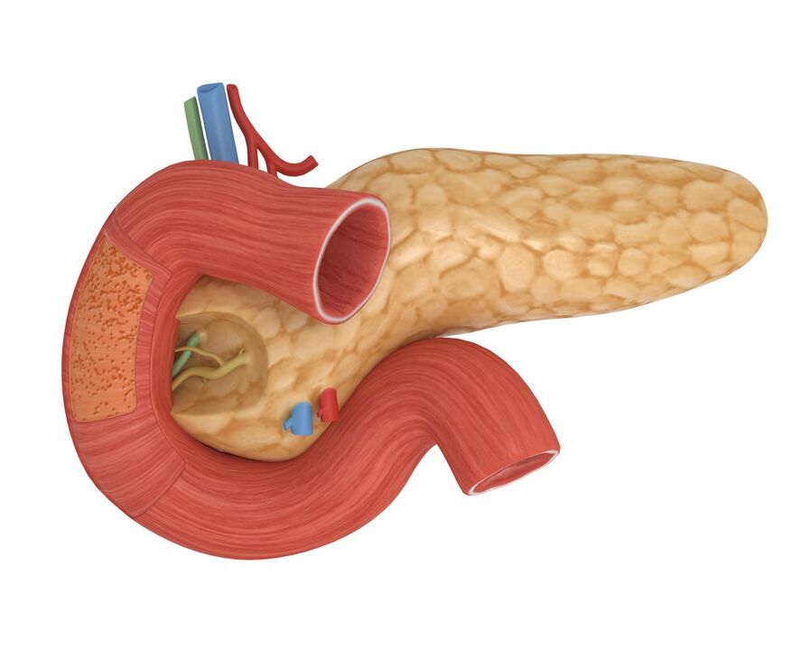 boa sensibilidade à insulina pancreática após tomar Glucoren