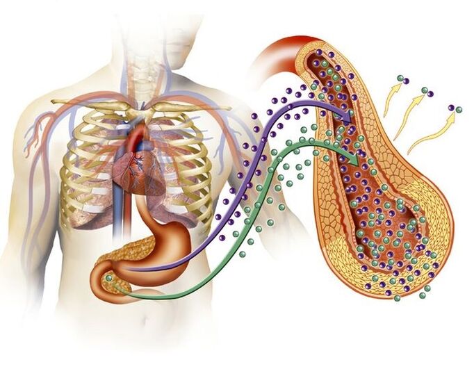 produção normal de insulina após tomar Glucoren