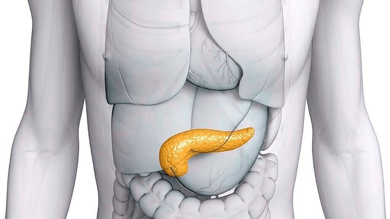 pâncreas saudável após tomar Glucoren